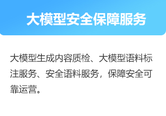 大模型安全保障服務(wù)